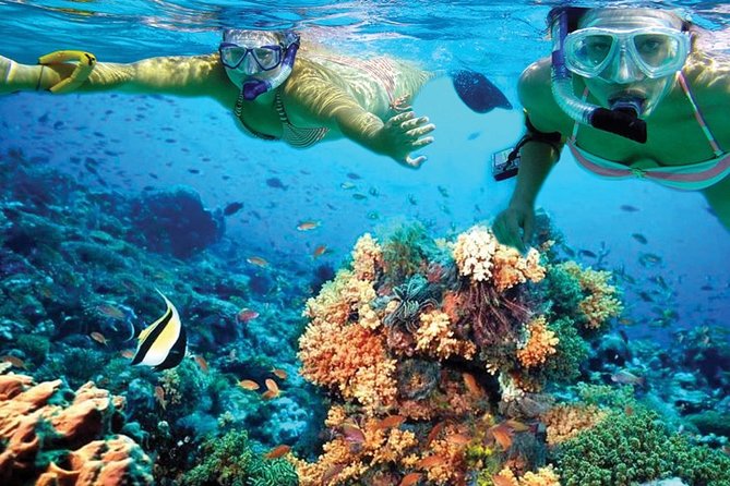 Plus Experience Isla Mujeres Tour - Unlimited Drinks and Snorkeling Equipment