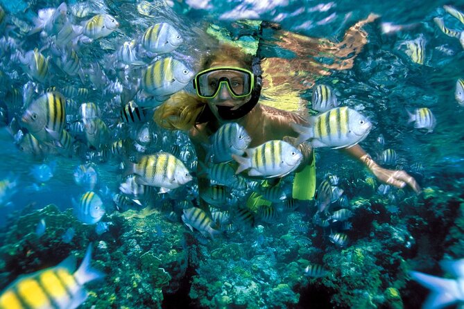 Plus Full Day Catamaran Tour to Isla Mujeres All Inclusive - Tour Highlights and Inclusions