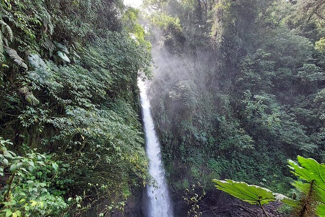 Poas Volcano and La Paz Waterfall Day Tour - End Point and Cancellation Policy