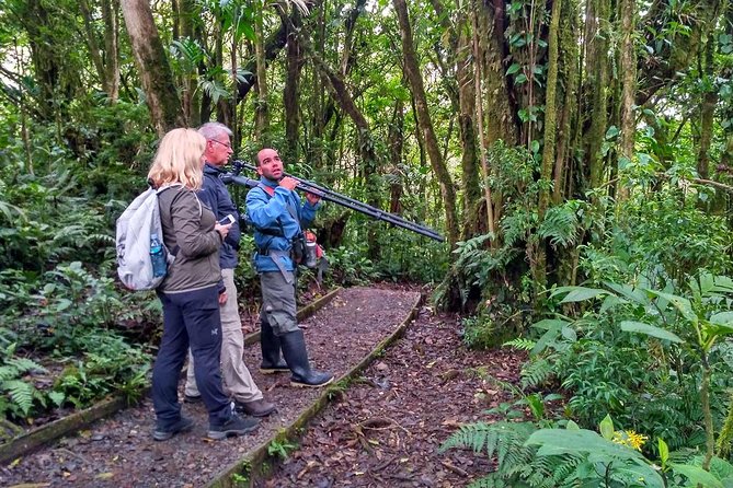 Poás Volcano & Rain Forest Day Tour - Tour Details