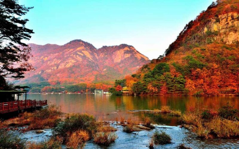 Pocheon Day Trip with Herb Island, Hantan GEO Park & Others - Who Will Love This Tour?