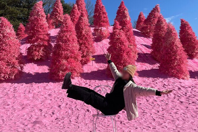 Pocheon Highlights 1 Day Tour - A Closer Look at the Pocheon Highlights 1 Day Tour