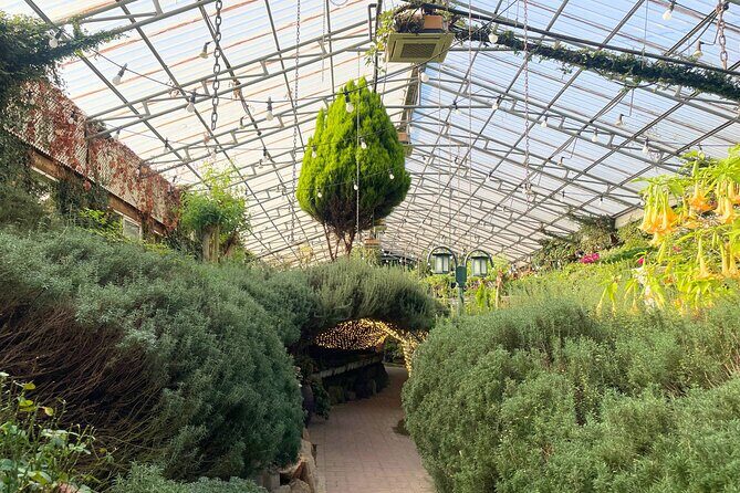 Pocheon Highlights 1 Day Tour - Who Will Love This Tour?