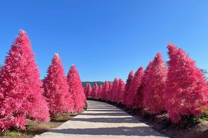 Pocheon Highlights 1 Day Tour - The Itinerary Explored: What You Can Expect