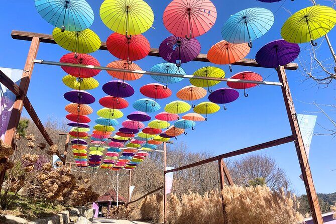 Pocheon Highlights 1 Day Tour - The Sum Up: Is This Tour Right for You?