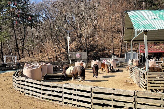 Pocheon Highlights 1 Day Tour - FAQ