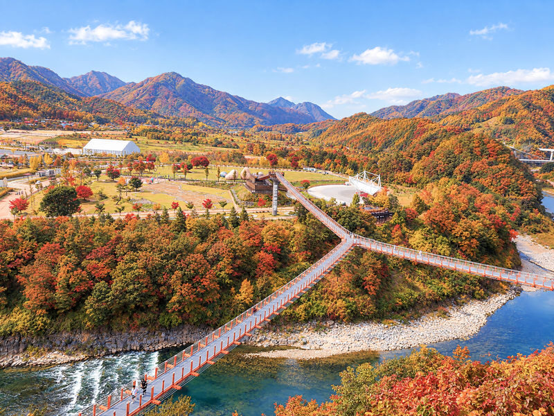 Pocheon & Seasonal Hot Attractions One Day Tour from Seoul - Who should book this Pocheon day trip?