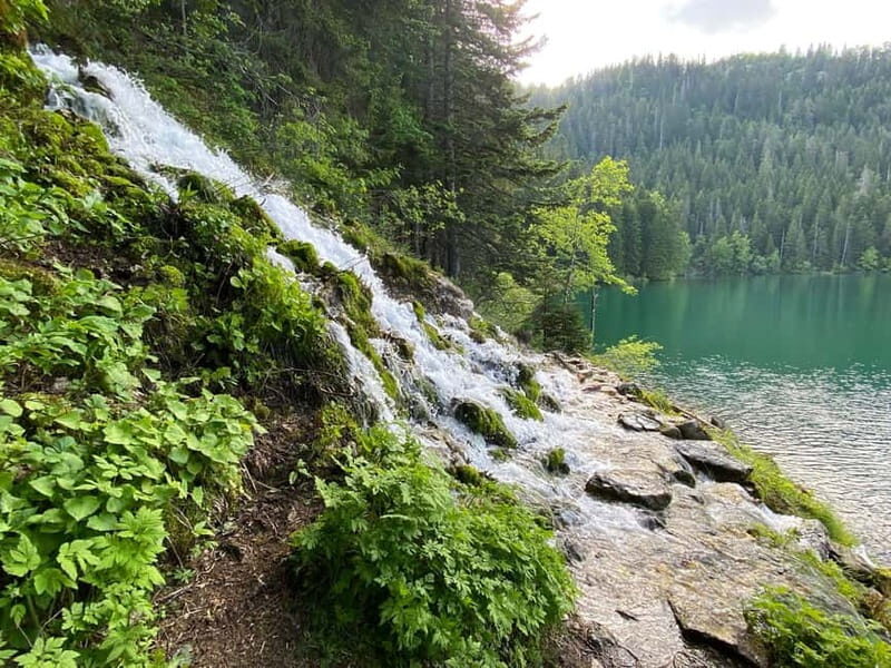 Podgorica: Durmitor National Park- Tara river, bridge & lake - What’s Included & What You Should Expect to Pay Extra For