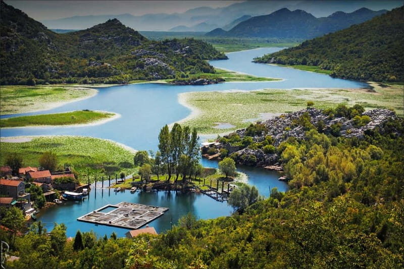 Podgorica Historic, Safari and Winery tour - Skadar lake - Authentic Experiences and Insights from Reviewers
