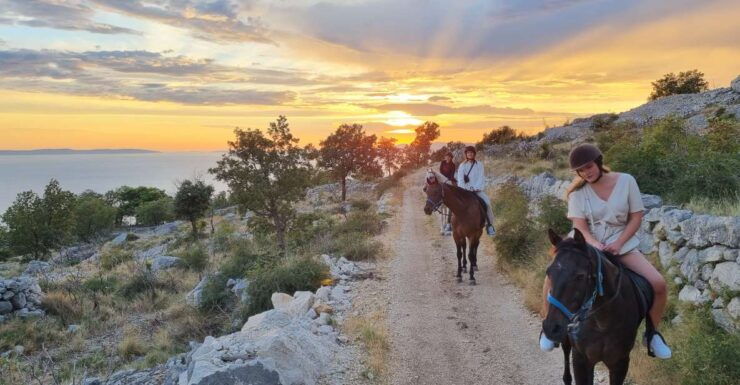 Podstrana: Guided Horseback Riding Experience - Good To Know