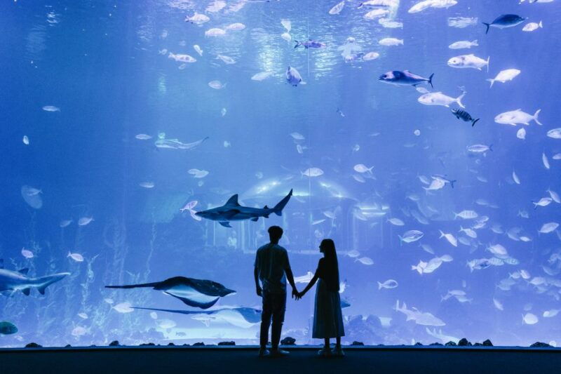 Poem of the Sea Skip-the-Line Ticket - Exploring the Diverse Ecosystems