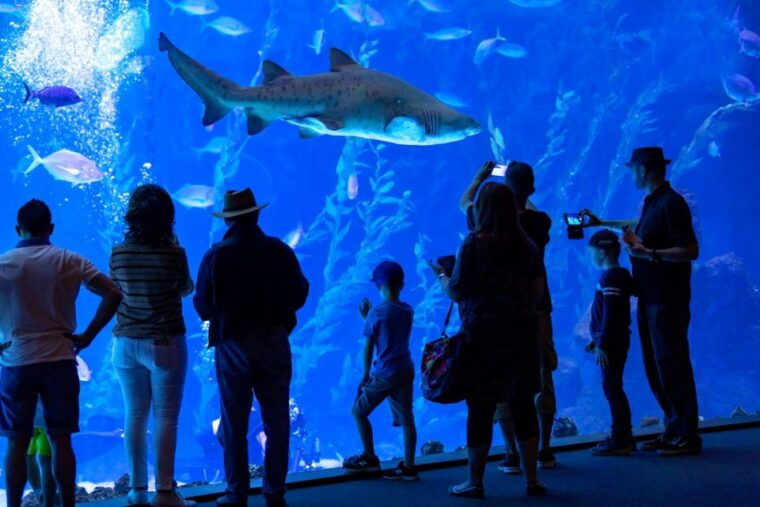 Poem of the Sea Skip-the-Line Ticket - Visitor Reviews and Ratings