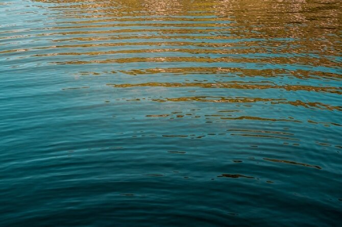 Poetic Mood Show at the Waters Edge in Pont Darc - Ticket Information