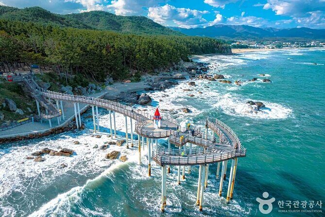 Pohang Highlights & Private Tour with a Licensed guide - FAQ