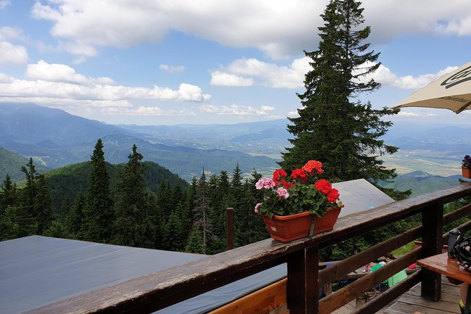 POIANA BRASOV and POSTAVARU CHALET Ebike Tour (BRASOV) - Meeting Point
