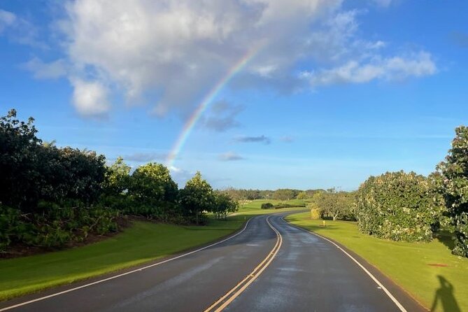 Poipu and Koloa E-Bike Scenic Tour - Positive Feedback From Travelers