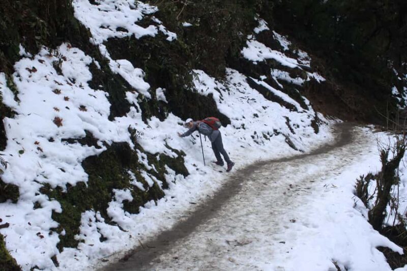 Pokhara: 1 Day Poon Hill Sunrise Hike with Transfer - A Practical Review of the 1-Day Poon Hill Sunrise Hike from Pokhara