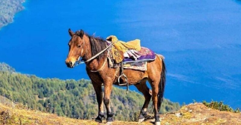 Pokhara: 1-Hour Horseback Ride with Hotel Pickup - Good To Know