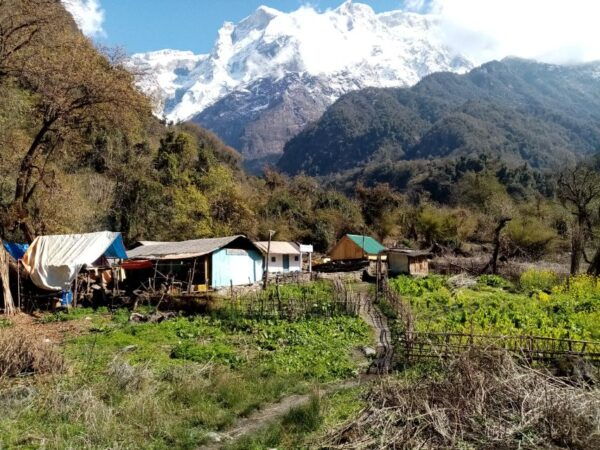 Pokhara: 1 Night 2 Days Kapuche Glacier Lake and Sikles Trek - Destination Details