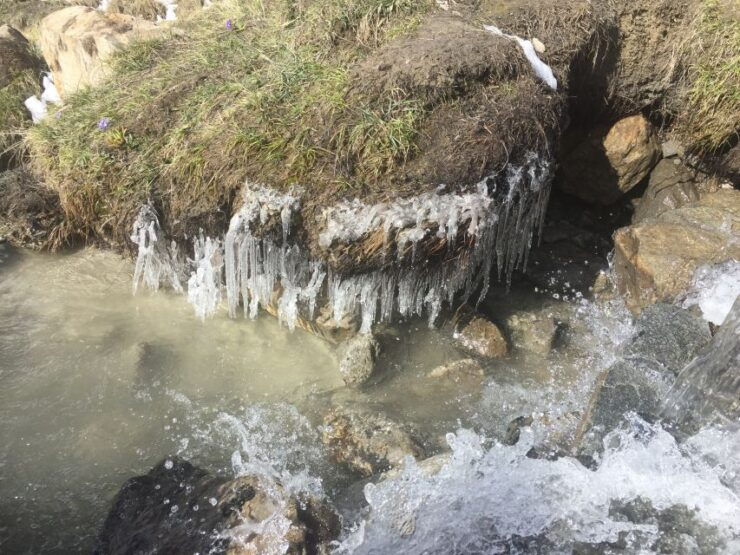 Pokhara: 10-Day Annapurna Base Camp Trek - Activity Overview