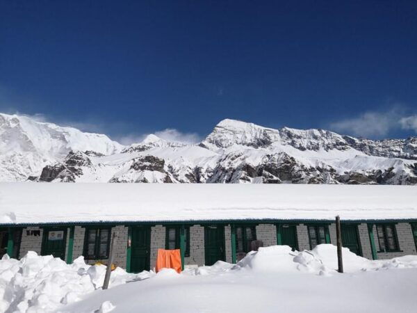 Pokhara: 11 Days Annapurna Base Camp and Poon Hill Trek - Questions You May Have