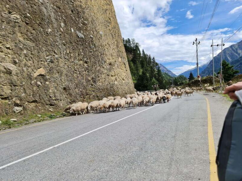 Pokhara: 14 Days Upper Mustang Trek - Highlights of the Middle Trek: Ghami, Tsarang, and Lo Manthang