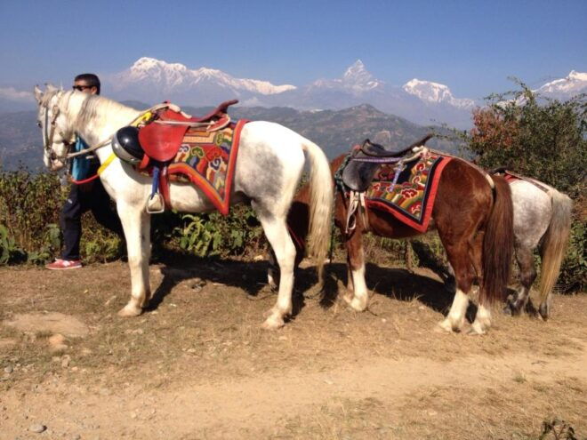 Pokhara: 2.5-Hour Horse-Pony Ride in Nature - Booking and Availability