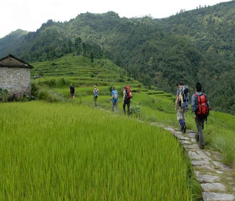 Pokhara: 2-Day Ghachok Village Tour with Homestay & Hike - An Authentic Glimpse into Rural Nepal