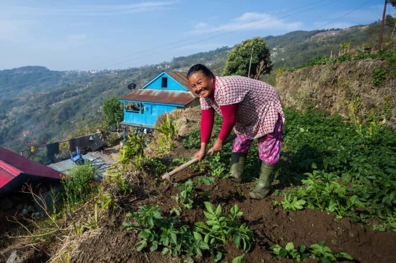 Pokhara: 2-Day Ghachok Village Tour with Homestay & Hike - The Village Walks and Participatory Activities