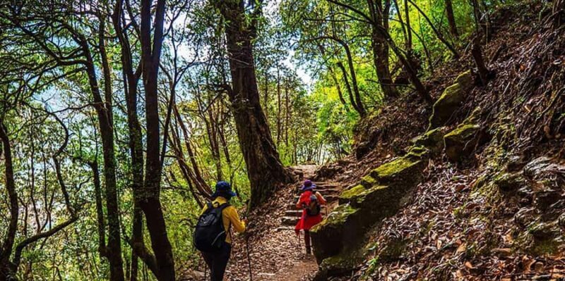 Pokhara: 2-Day Poon Hill Sunrise Trek with Lady Guide - Good To Know