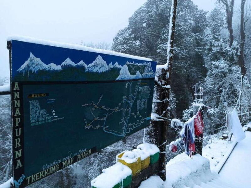 Pokhara: 2-Day Poon Hill Trek with Sunrise - The Experience of Guided Trekking