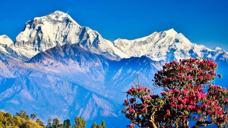 Pokhara: 2-Day Poon Hill Trek With Sunrise Views - Preparation Tips