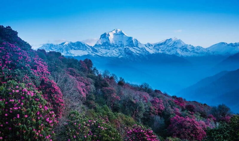 Pokhara: 2-Days Beautiful Poon Hill Trek with Sunrise View - Authentic Experiences & Hidden Gems