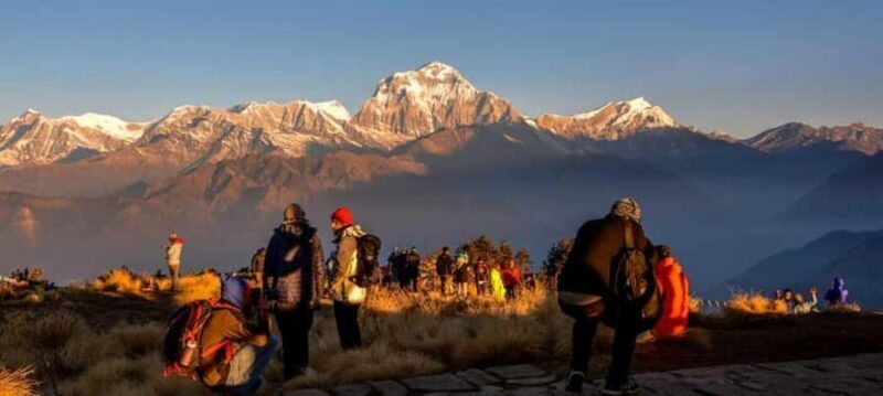 Pokhara: 2 days guided Poon Hill Trek - Authentic Insights from Reviewers