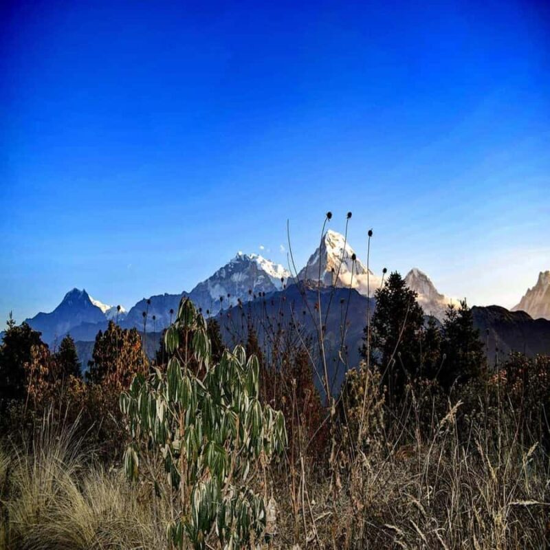 Pokhara: 2 days guided Poon Hill Trek - Practical Details and Value