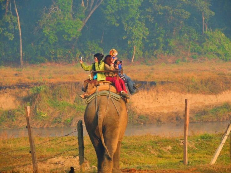 Pokhara: 3-Day Culture Wildlife and Jungle Safari Experience - Booking and Travel Details