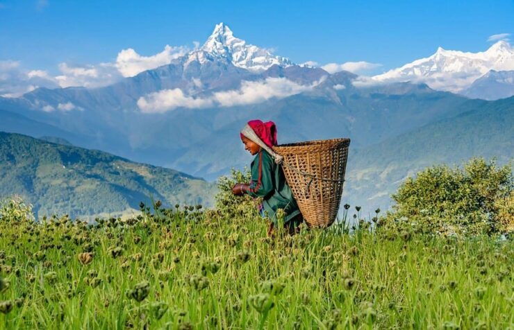 Pokhara: 3 Day Dhampus & Astam Himalayas Village Easy Trek - Daily Itinerary