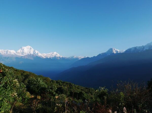 Pokhara: 3-Day Ghorepani and Poon Hill Trek - Additional Information