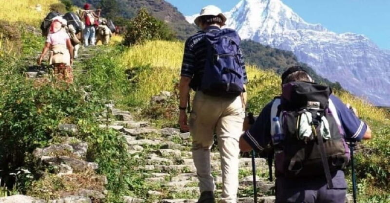 Pokhara: 3-Day Ghorephani and Poon Hill Private Trek - The Experience Through the Eyes of Travelers