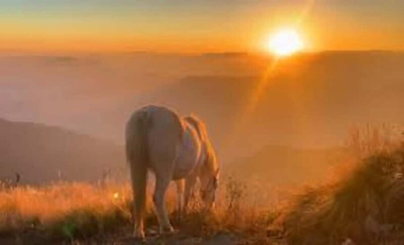 Pokhara: 3-day Khumai Hill Private Trek - Introduction