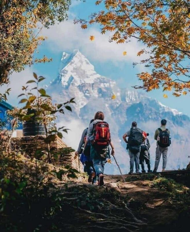 Pokhara: 3-Day Mardi Himal Base Camp Private Trek - Why This Trek Offers Great Value