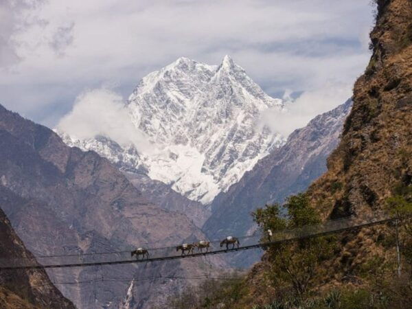 Pokhara: 3-Day Poonhill & Mustang Himalayan Adventure Tour - Break Down