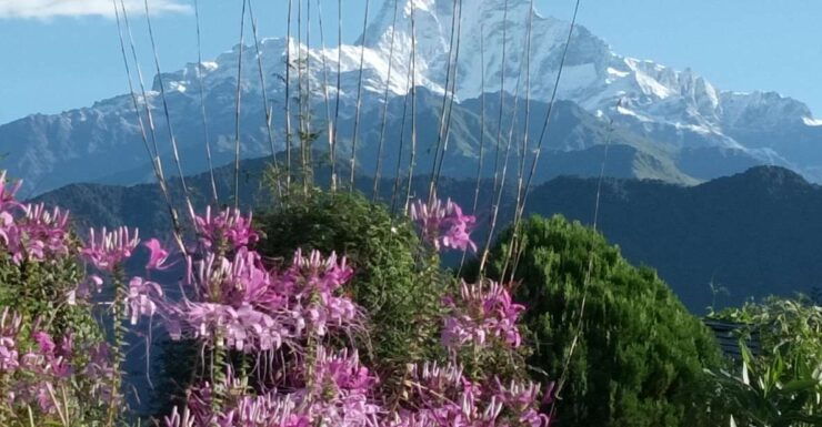 Pokhara: 3-Day Trek - Cancellation Policy