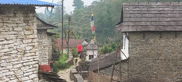 Pokhara: 3-Day Trek - Tips for a Successful Trek