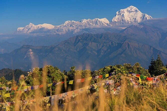 Pokhara 3 Days Ghorepani and Poon Hill Private Trek via Ghandruk - The Journey in Detail: What to Expect on the Trek