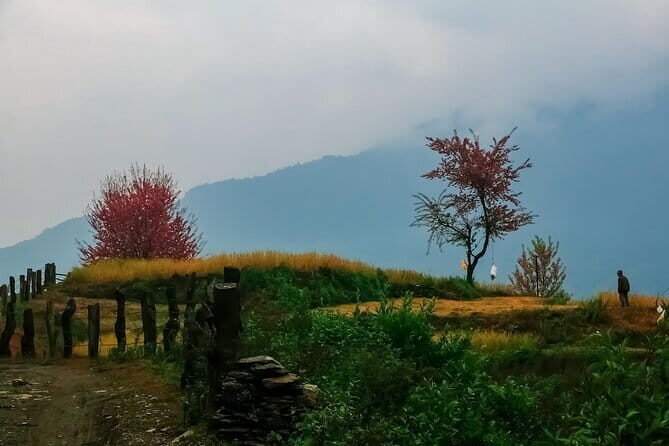 Pokhara 3 Days Ghorepani and Poon Hill Private Trek via Ghandruk - FAQ