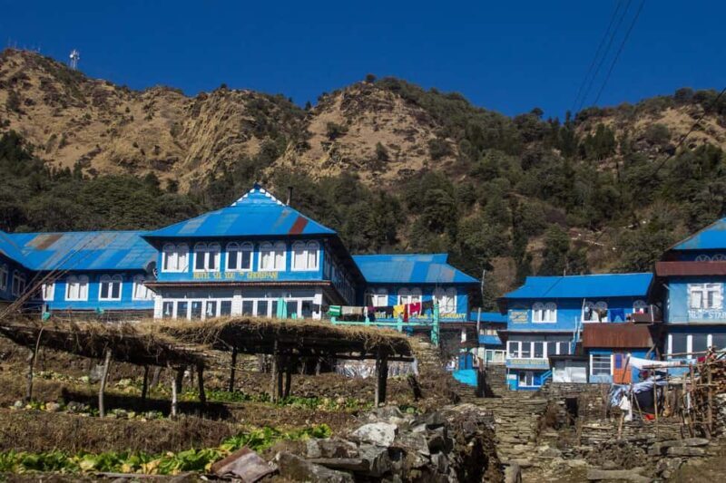 Pokhara: 3 Days Ghorepani poon hill trek - Authentic Experiences You’ll Remember