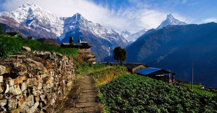 Pokhara: 3 Days Panchase Trek - Activity Details