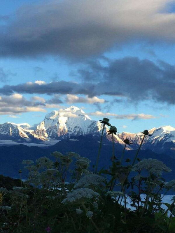 Pokhara: 3 days Trek to Poon hill - Authentic Experiences and Highlights