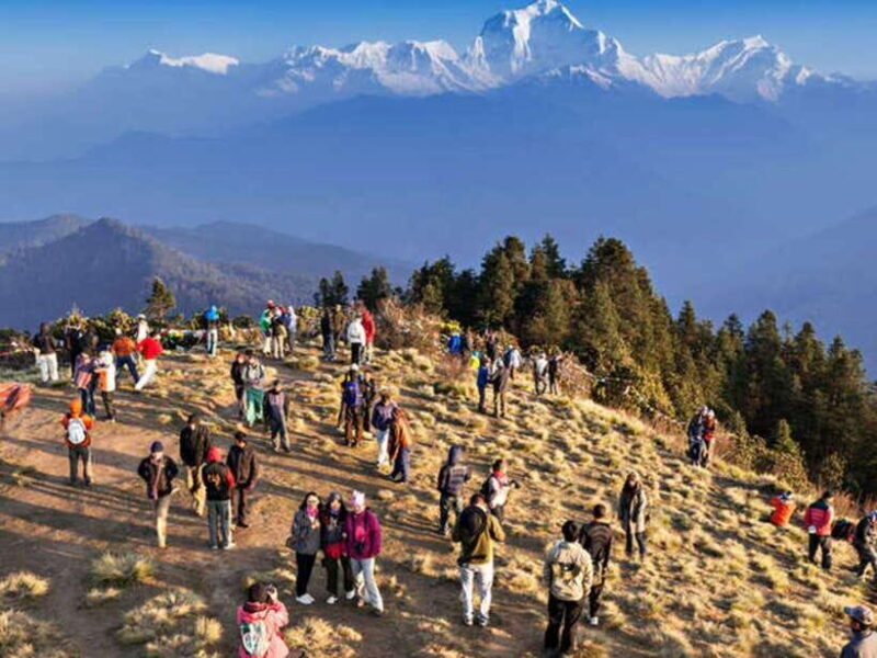 Pokhara: 3 days Trek to Poon hill - Authentic Experiences and Insider Tips